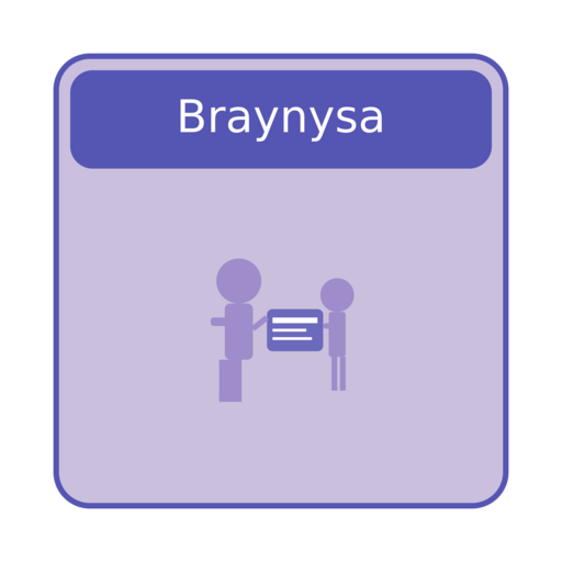 Braynysa Logo